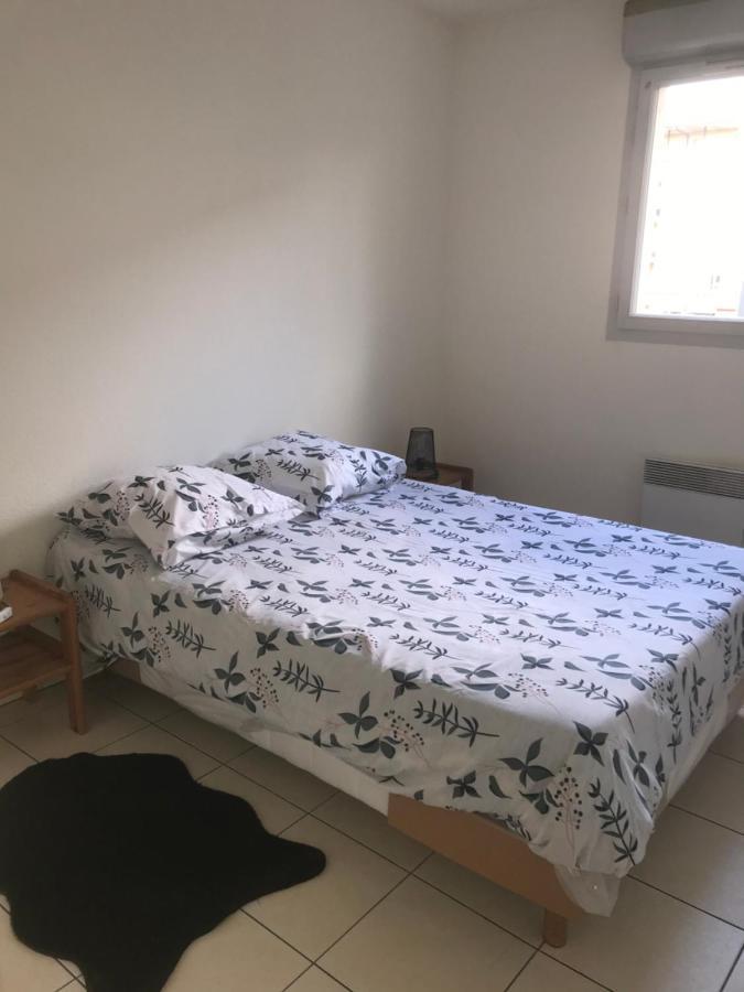 Appartement Entier T2 Avec Piscine Paradis Entierement Meuble Proche Metro Toulouse Eksteriør billede
