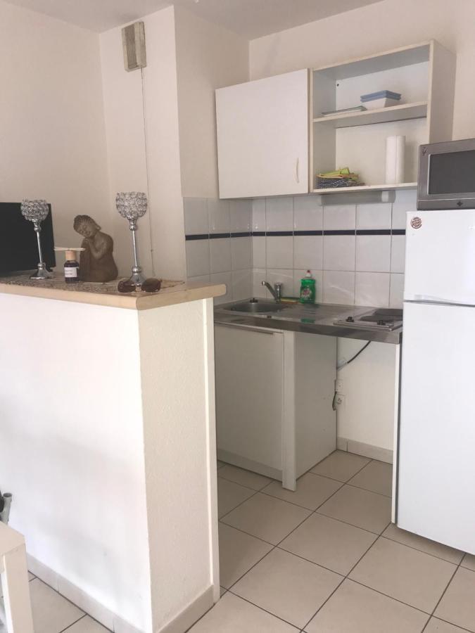 Appartement Entier T2 Avec Piscine Paradis Entierement Meuble Proche Metro Toulouse Eksteriør billede