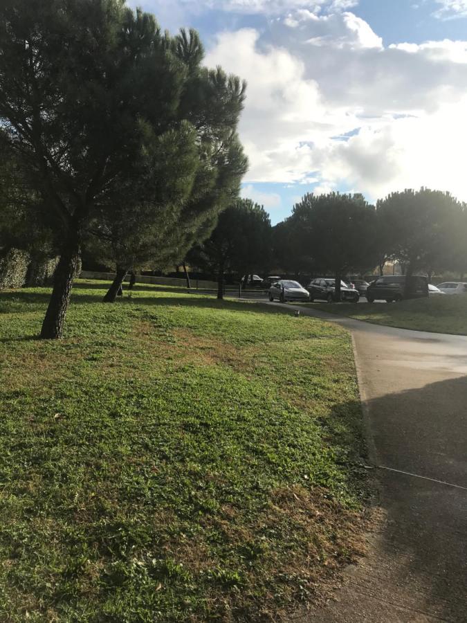 Appartement Entier T2 Avec Piscine Paradis Entierement Meuble Proche Metro Toulouse Eksteriør billede